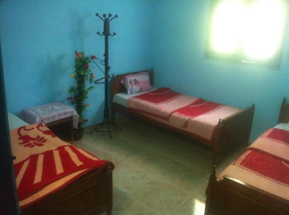 Bob Marley House Sherief * Luxor