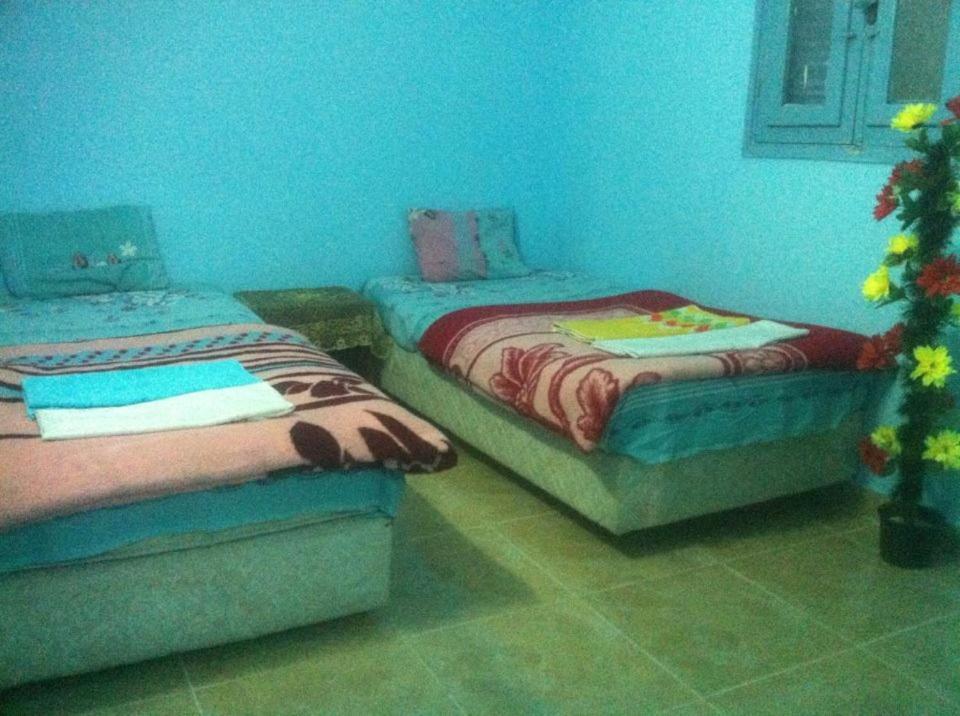 Hostel Bob Marley House Sherief Luxor